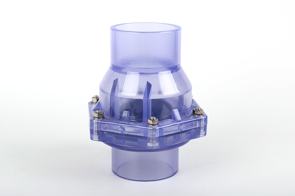 望奎透明翻板式止回阀